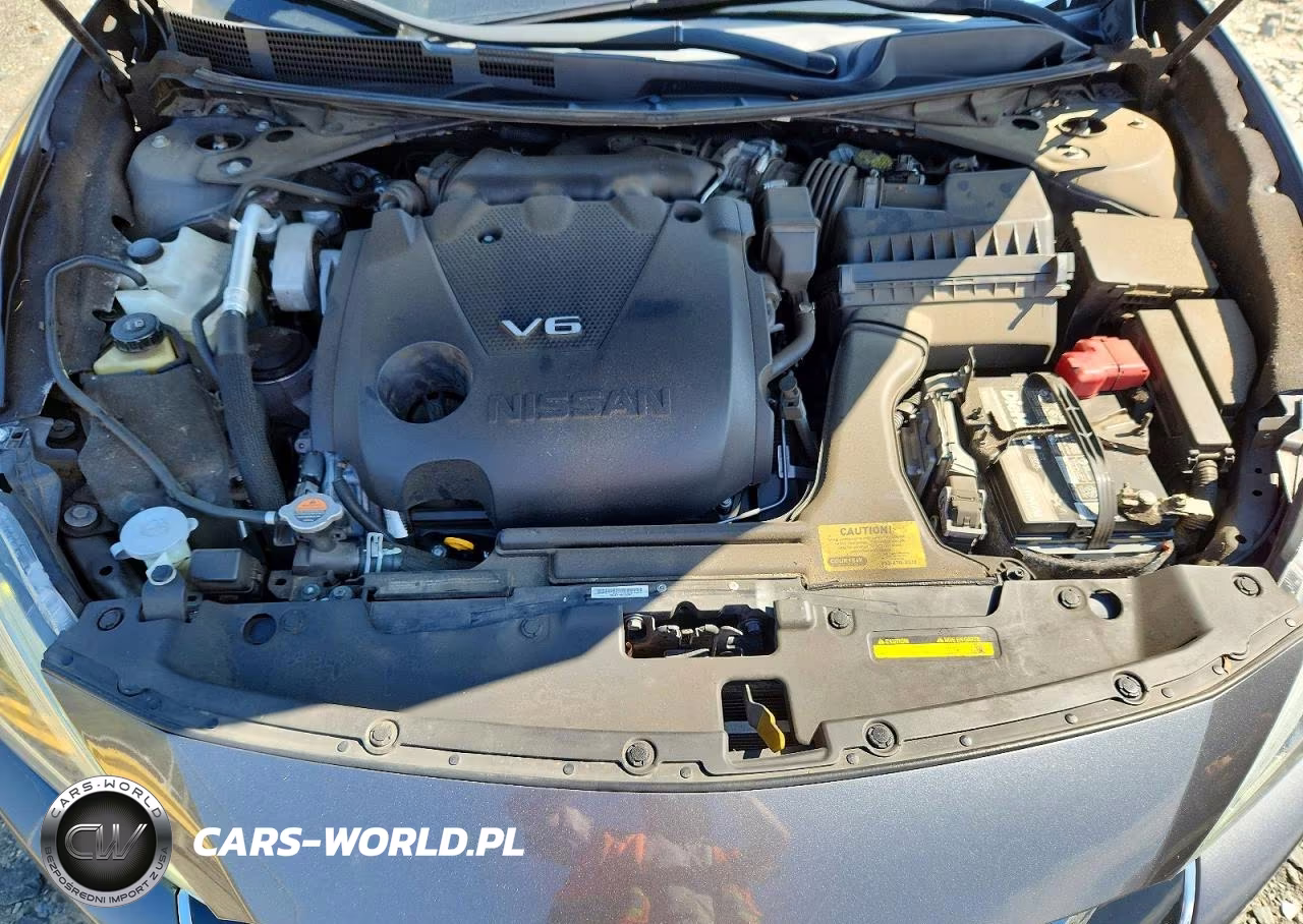 2018 Nissan Maxima Platinum VIN:1N4AA6AP7JC405634 - 11