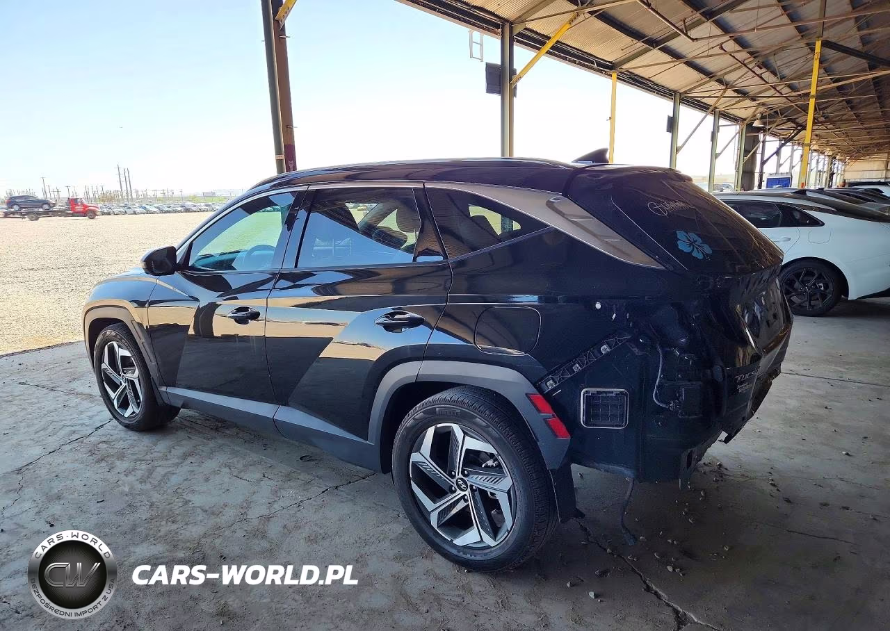 2022 Hyundai Tucson Limited VIN:5NMJE3AE7NH114487 - 2