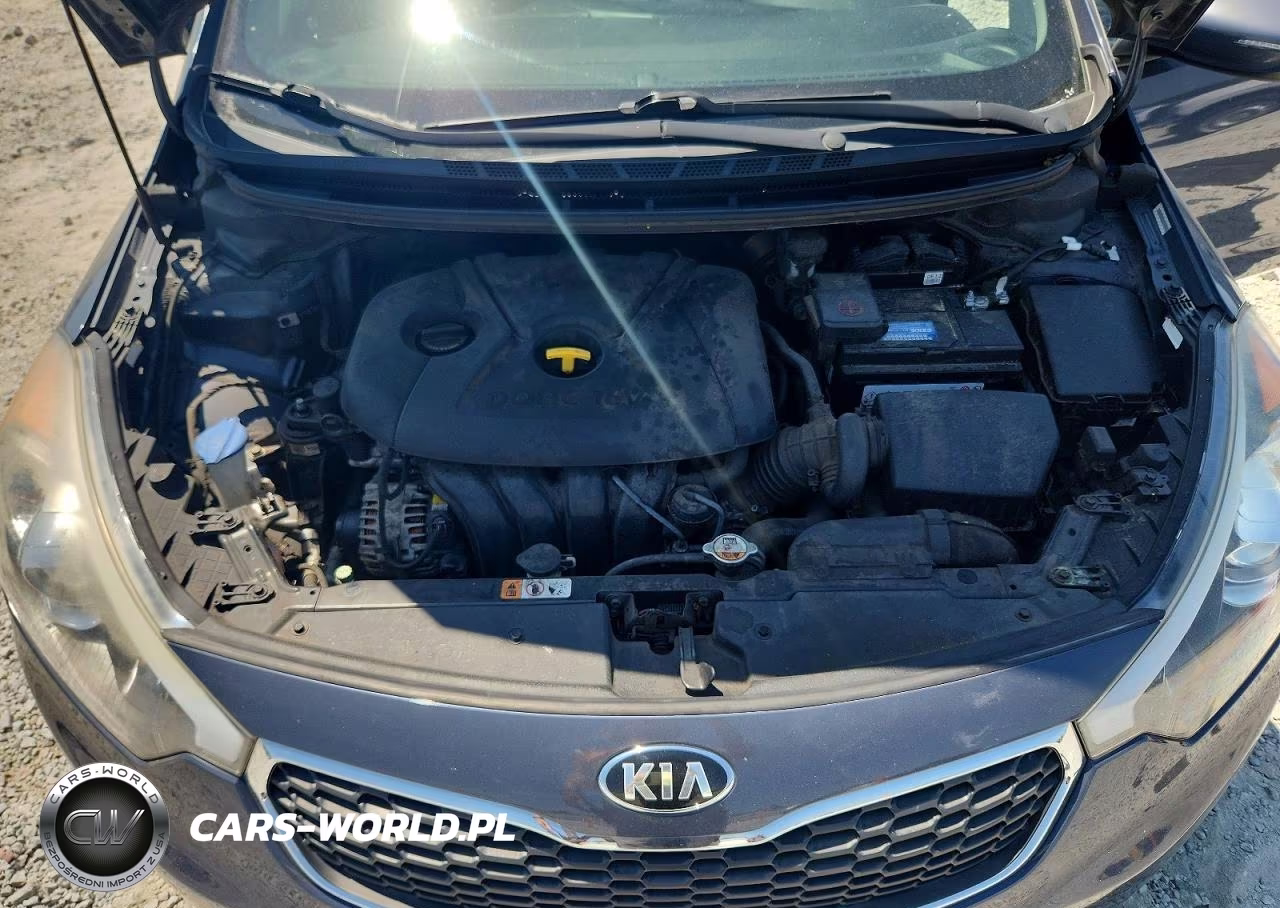 2015 Kia Forte Lx VIN:KNAFX4A62F5379298 - 11