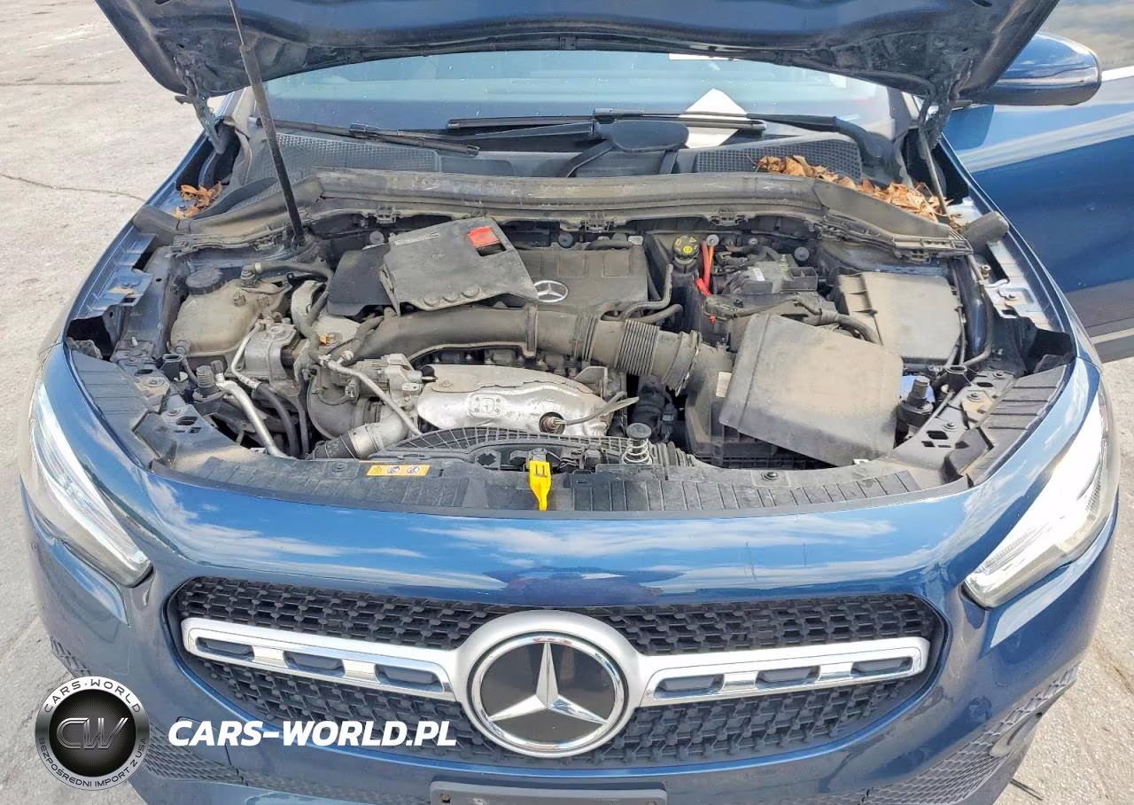 2021 Mercedes-Benz Gla 250 4Matic VIN:W1N4N4HB3MJ164741 - 12