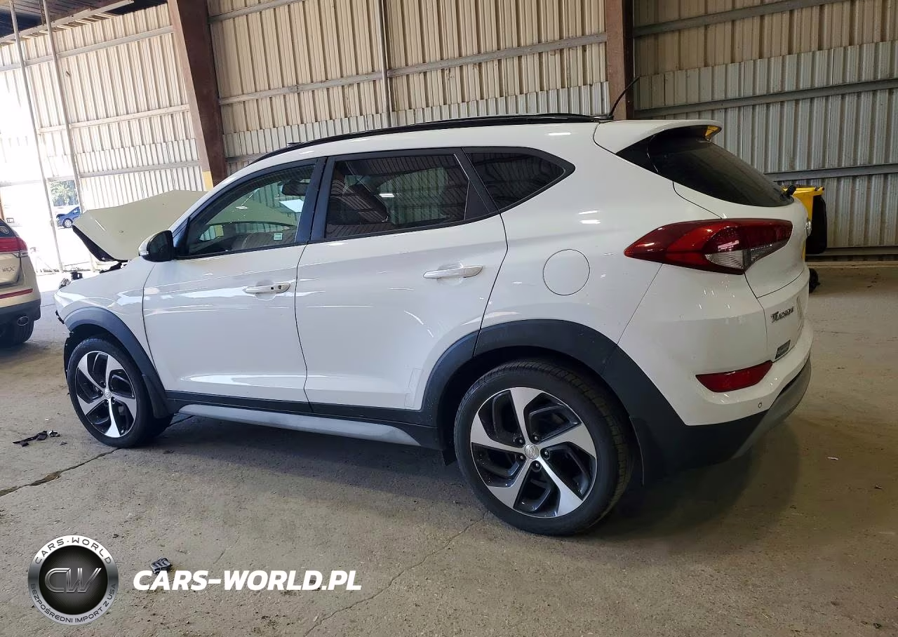 2017 Hyundai Tucson Value VIN:KM8J33A25HU581573 - 2