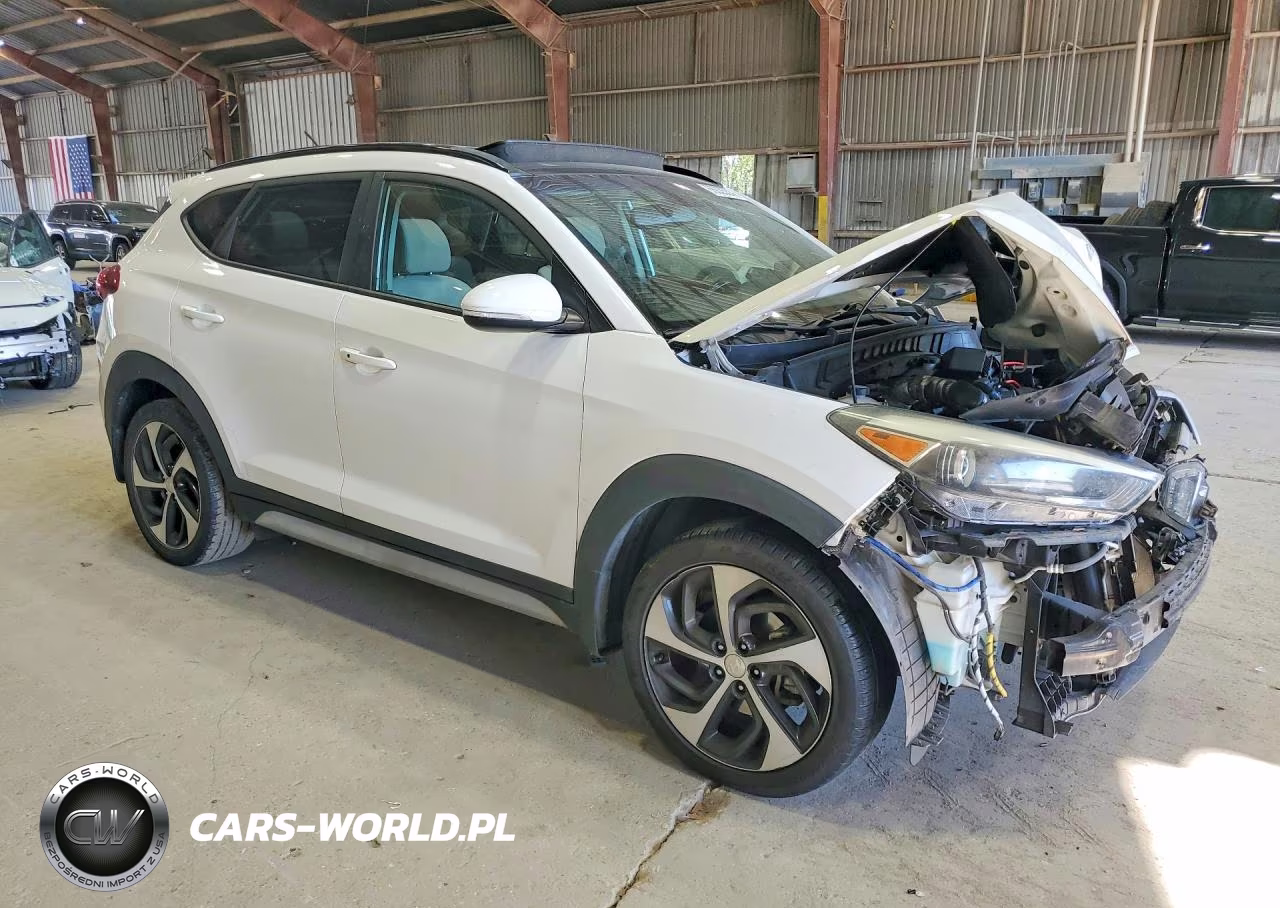 2017 Hyundai Tucson Value VIN:KM8J33A25HU581573 - 4