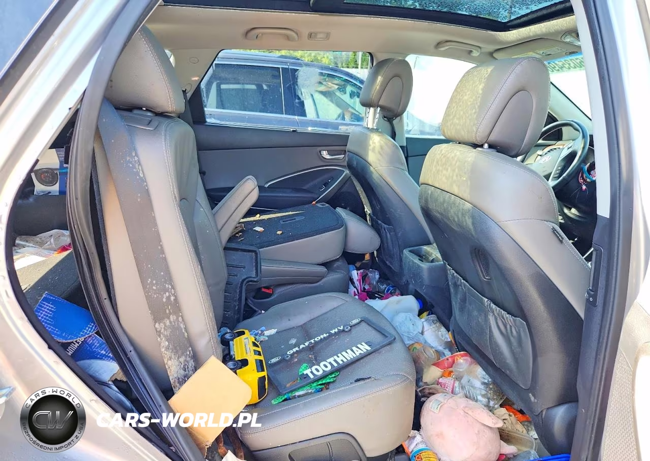 2017 Hyundai Santa Fe Limited Ultimate VIN:KM8SRDHF9HU207940 - 11