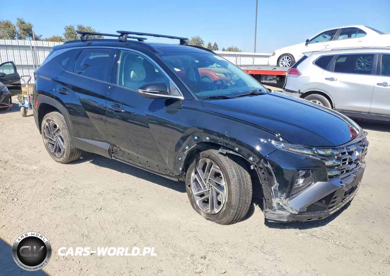 2025 Hyundai Tucson Limited VIN:KM8JEDD15SU309602 - 4