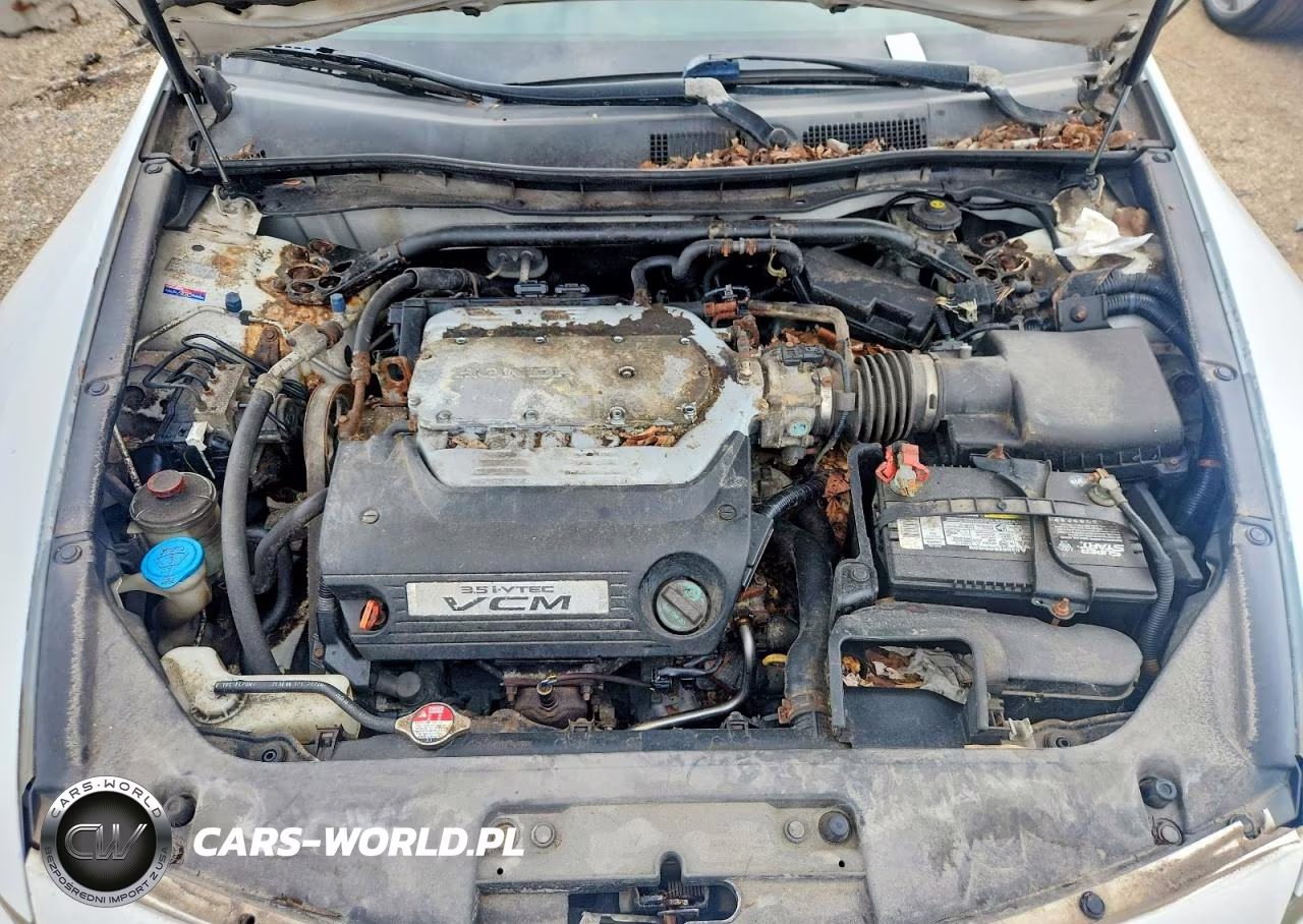 2009 Honda Accord Exl VIN:1HGCS22829A007658 - 11