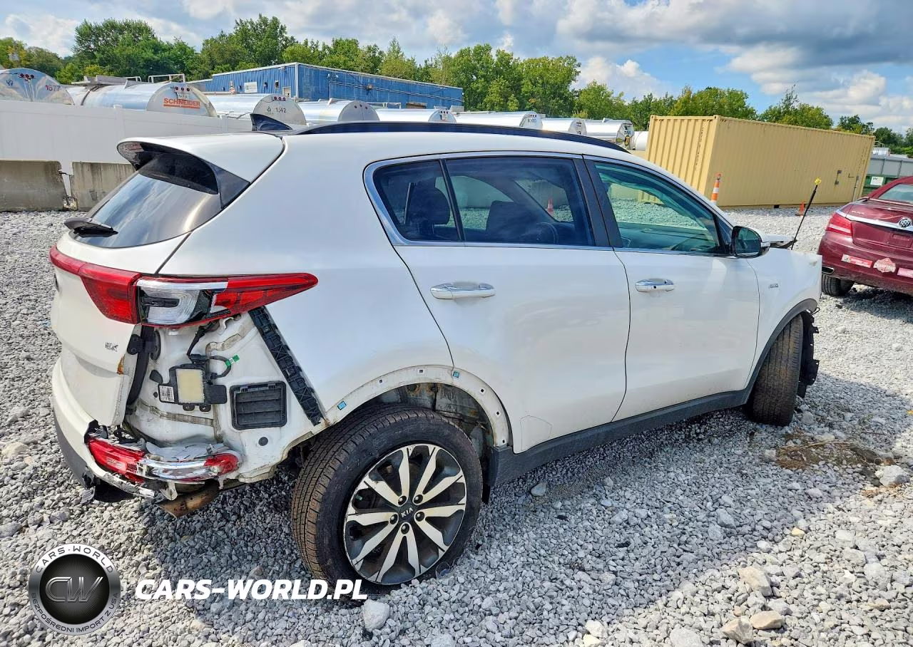 2019 Kia Sportage Ex VIN:KNDPNCAC1K7495037 - 3