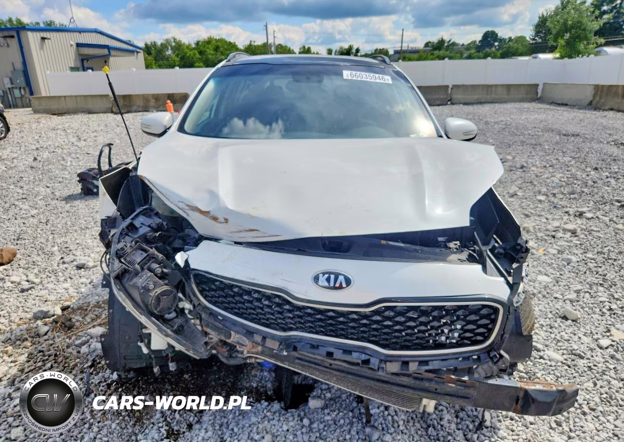 2019 Kia Sportage Ex VIN:KNDPNCAC1K7495037 - 5