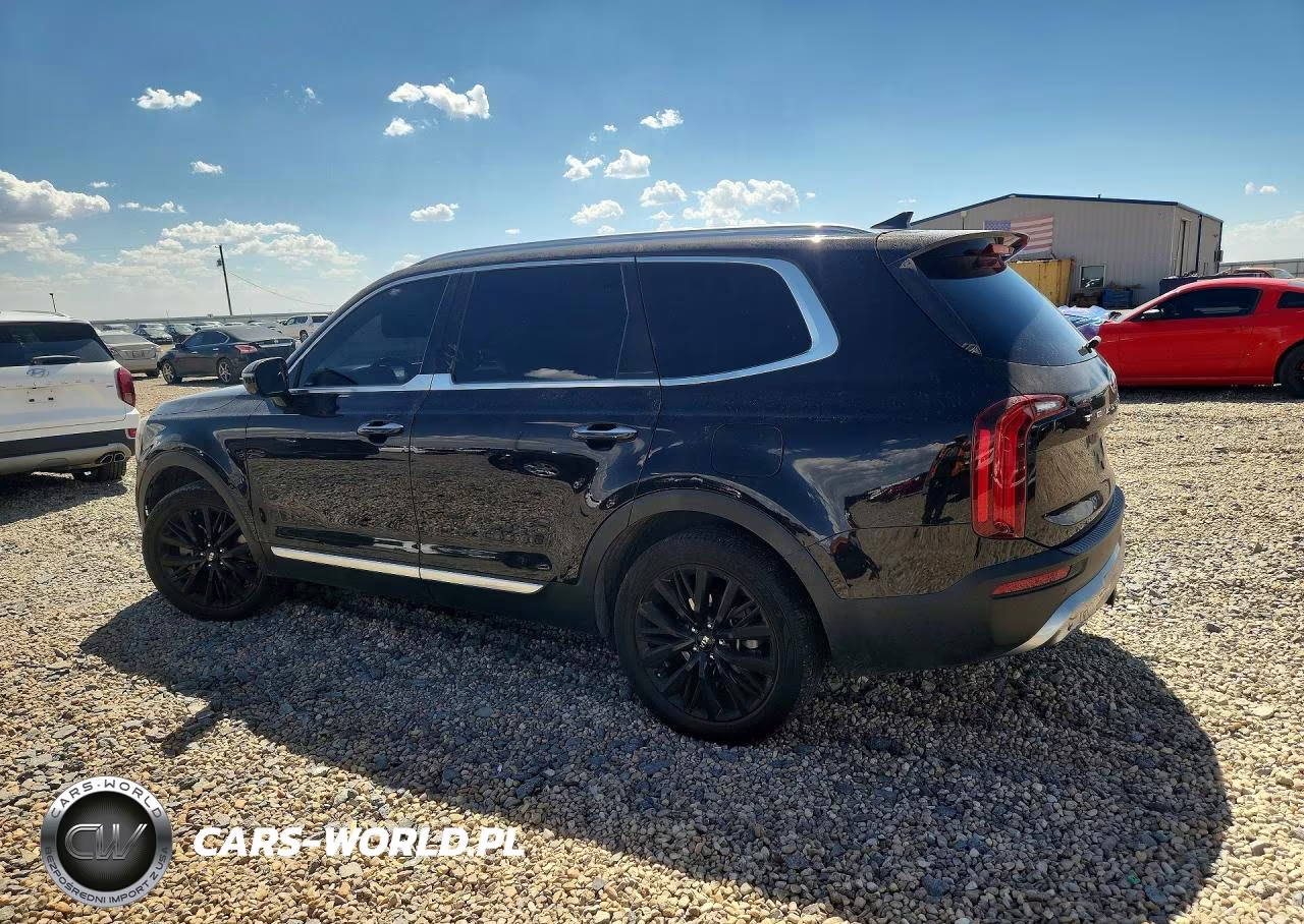 2020 Kia Telluride Sx VIN:5XYP54HC5LG043138 - 2