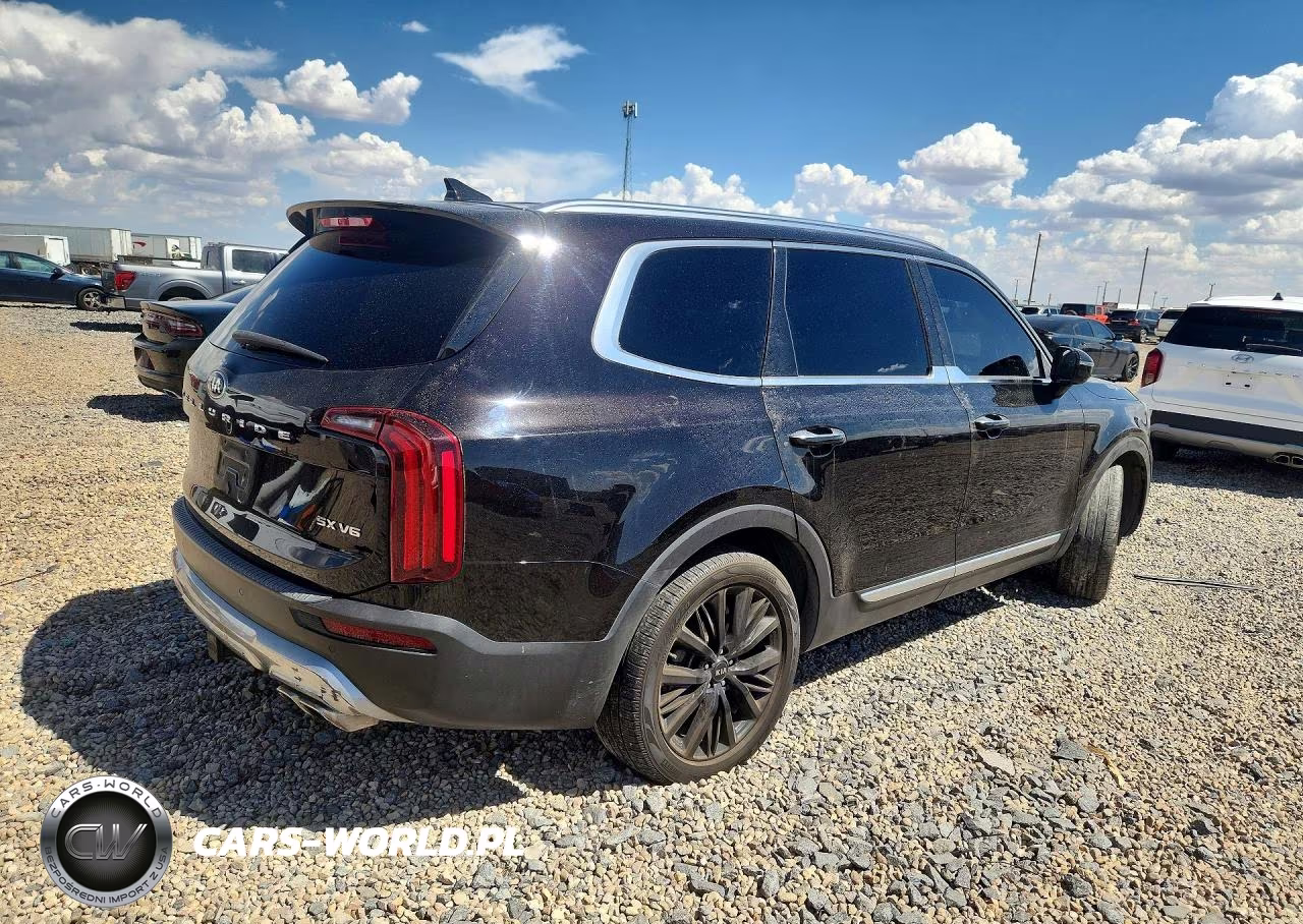 2020 Kia Telluride Sx VIN:5XYP54HC5LG043138 - 3