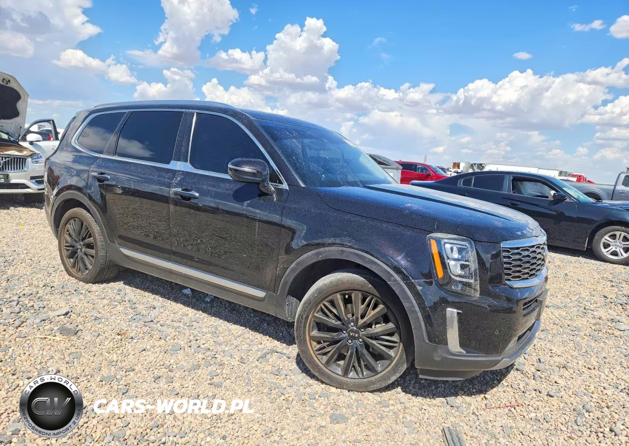 2020 Kia Telluride Sx VIN:5XYP54HC5LG043138 - 4