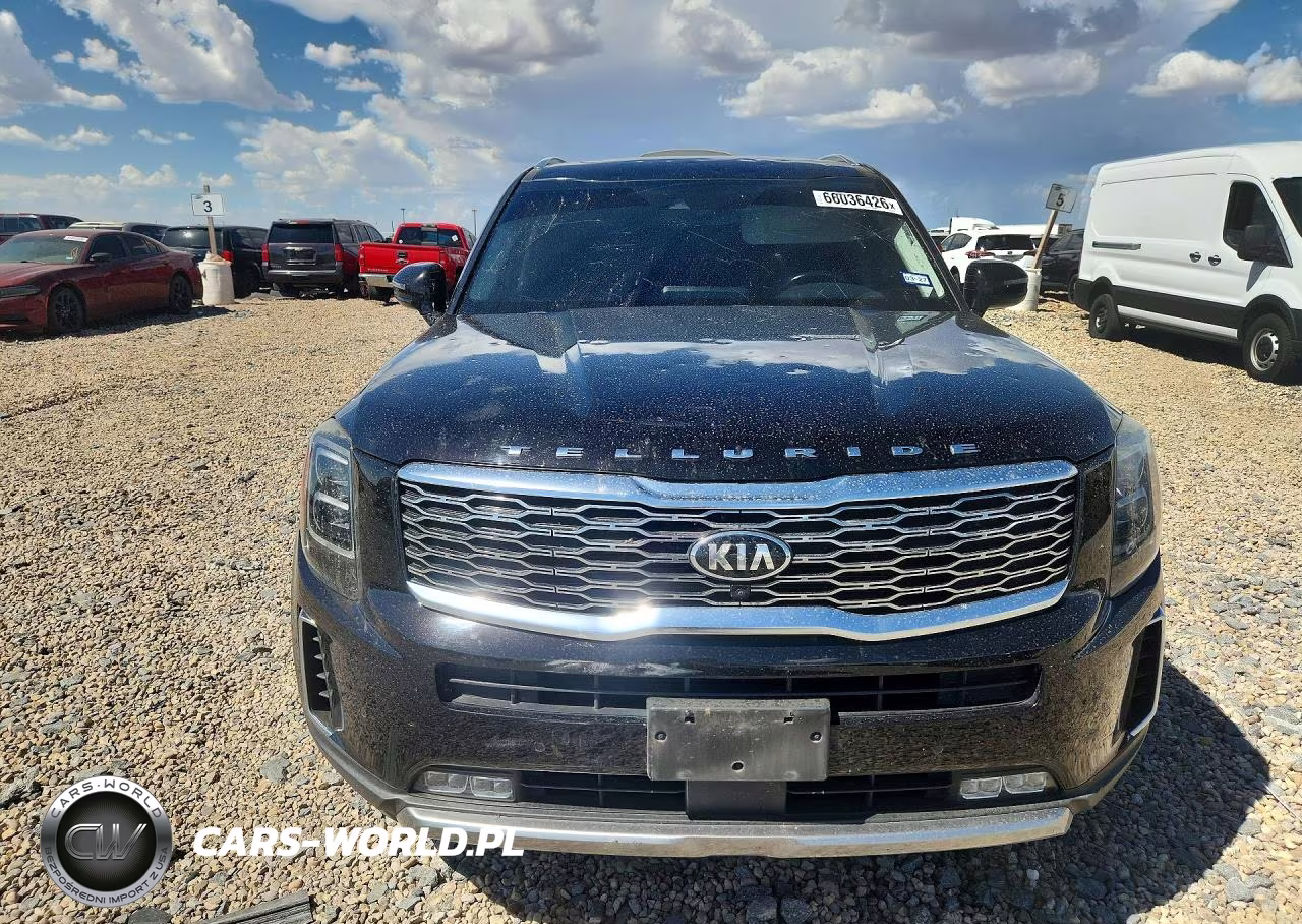 2020 Kia Telluride Sx VIN:5XYP54HC5LG043138 - 5