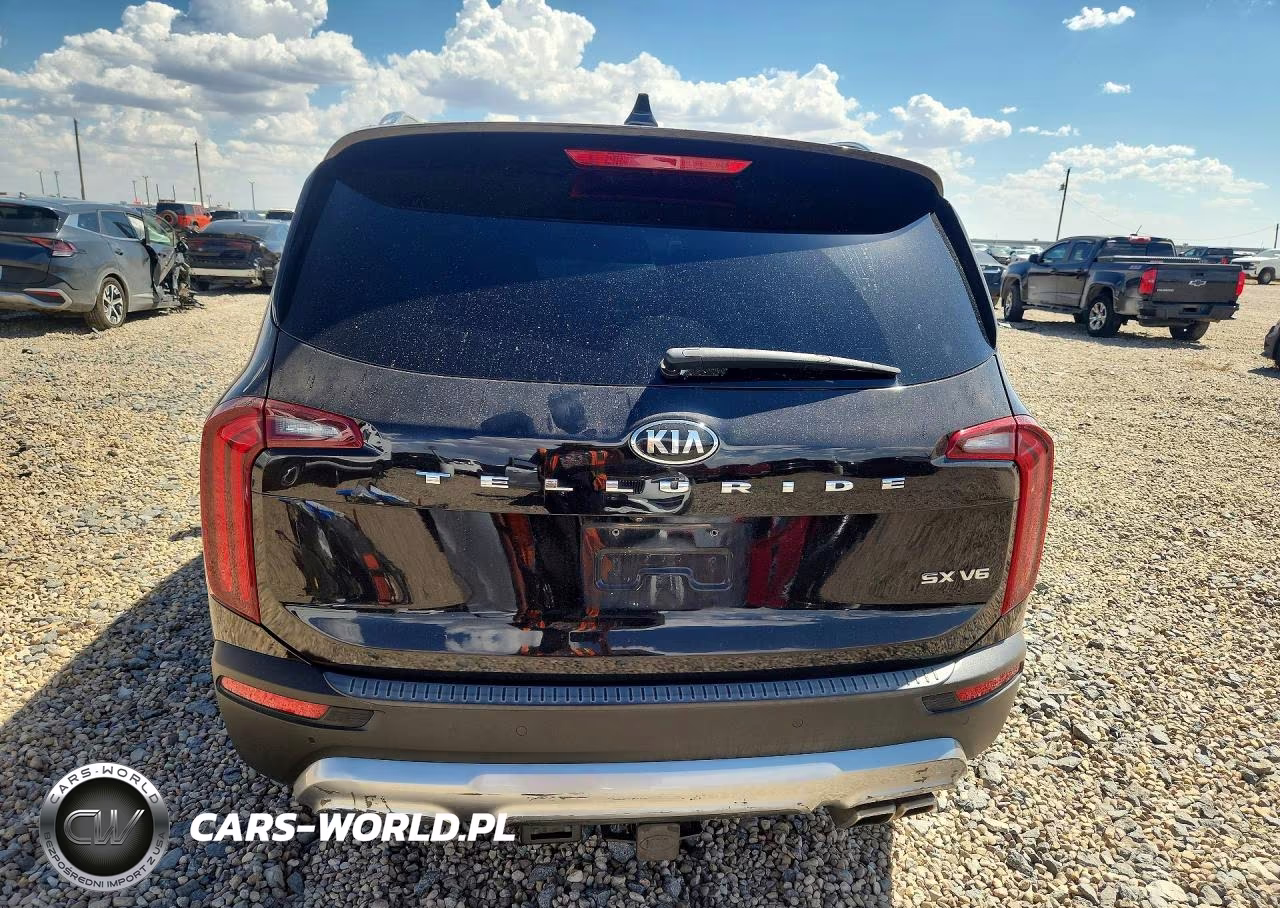 2020 Kia Telluride Sx VIN:5XYP54HC5LG043138 - 6