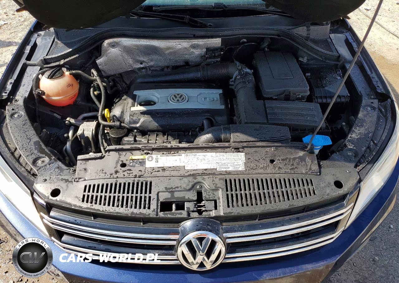 2014 Volkswagen Tiguan S VIN:WVGBV3AX5EW551208 - 12