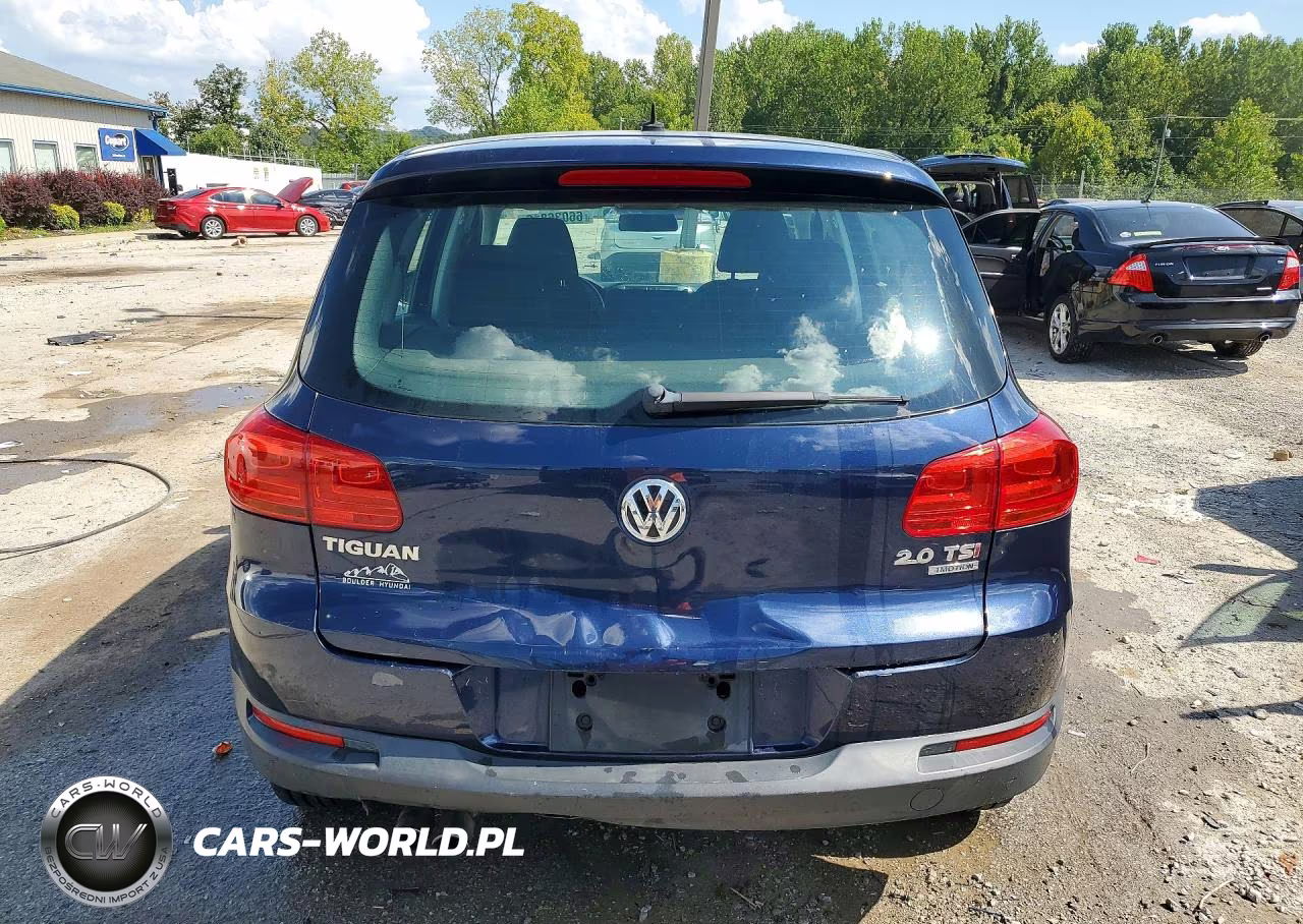 2014 Volkswagen Tiguan S VIN:WVGBV3AX5EW551208 - 6