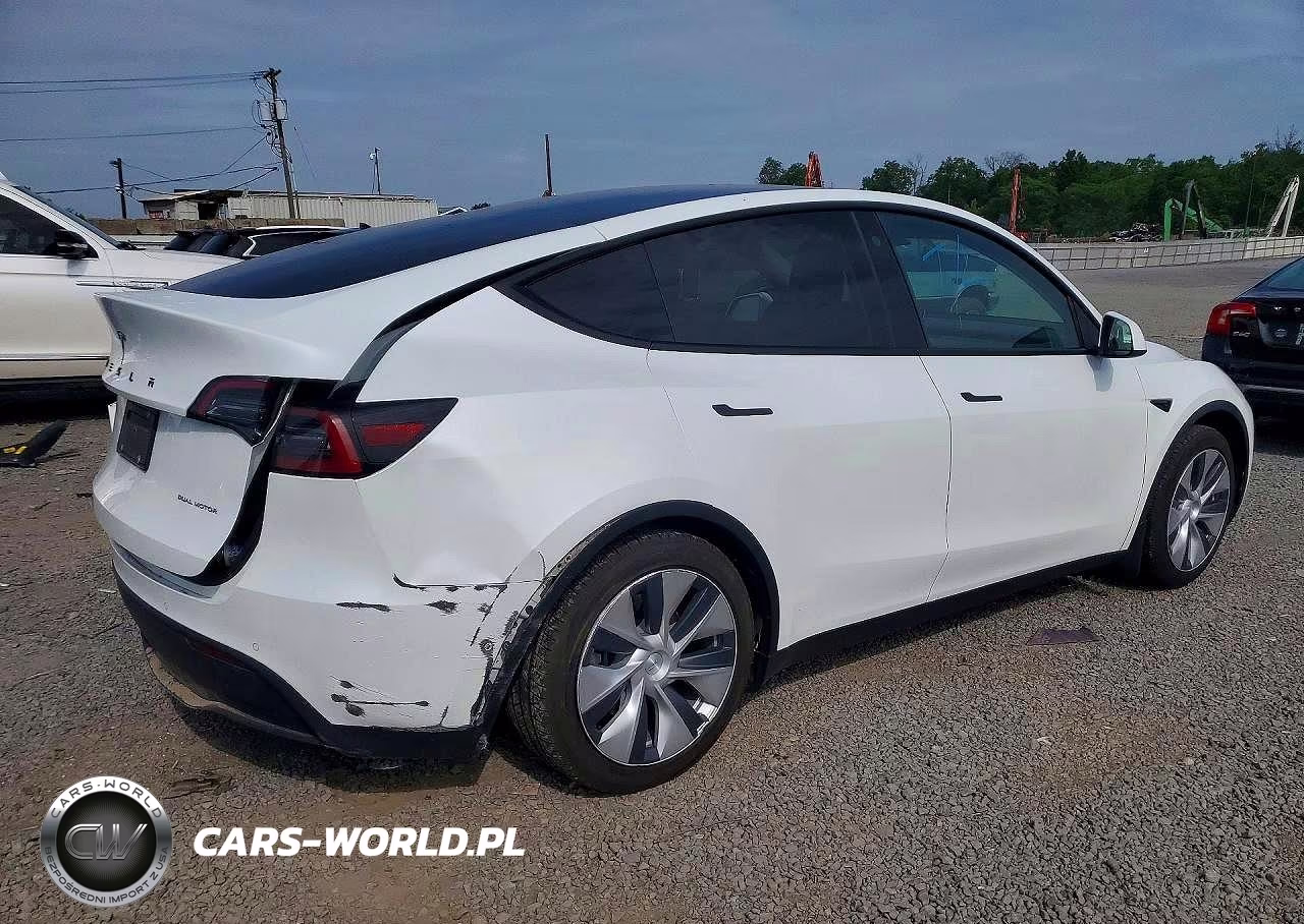2022 Tesla Model Y VIN:7SAYGDEE6NF486304 - 3