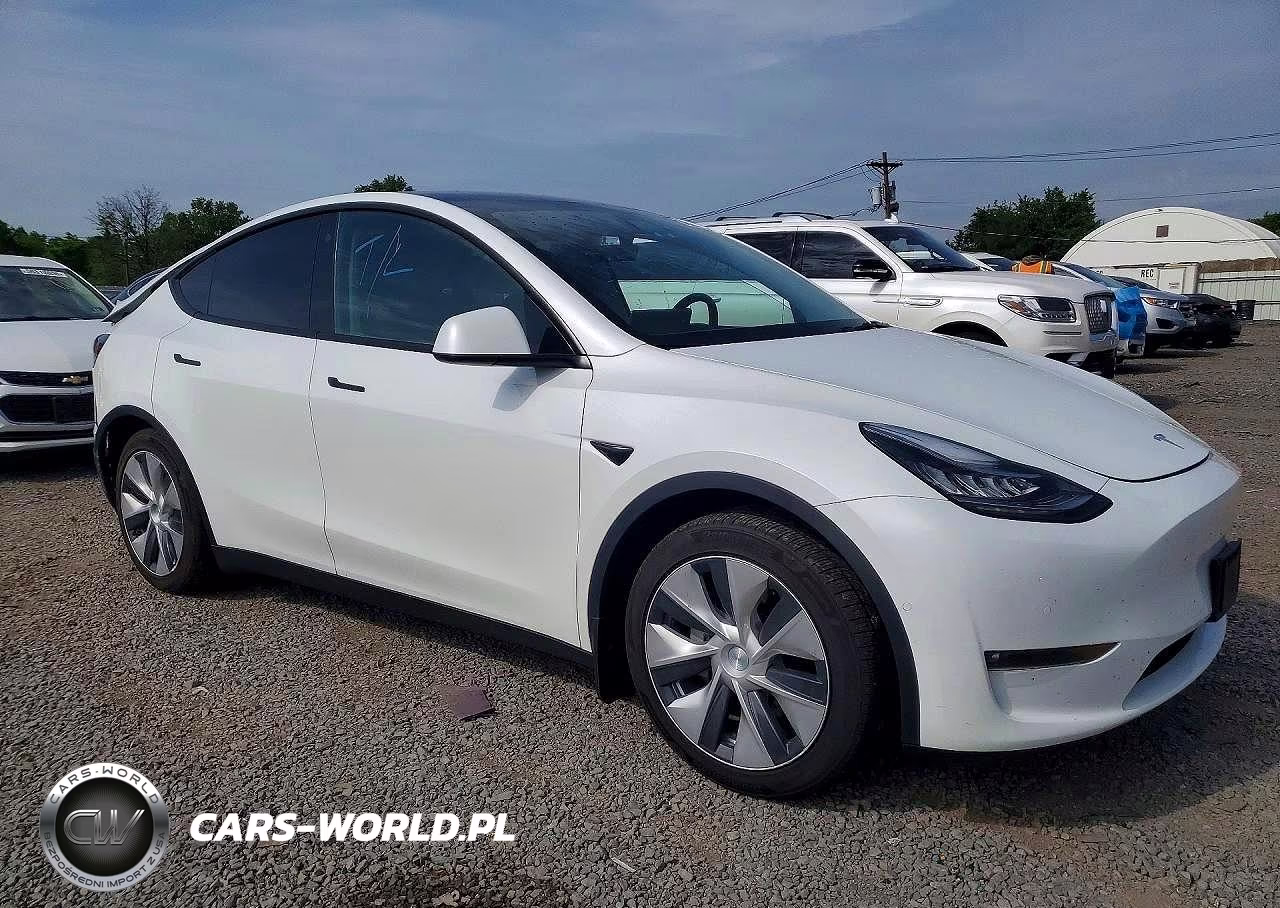 2022 Tesla Model Y VIN:7SAYGDEE6NF486304 - 4