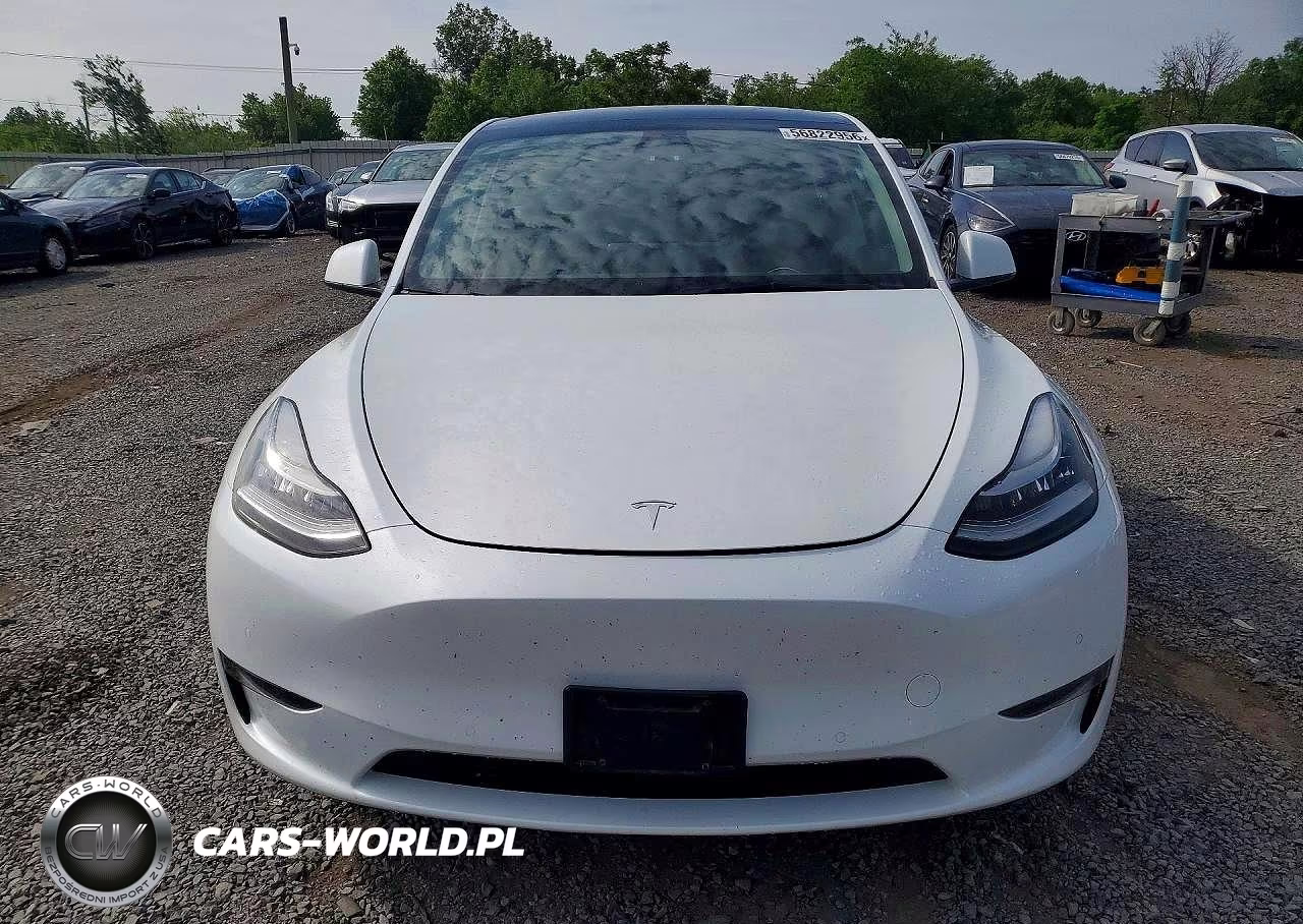 2022 Tesla Model Y VIN:7SAYGDEE6NF486304 - 5