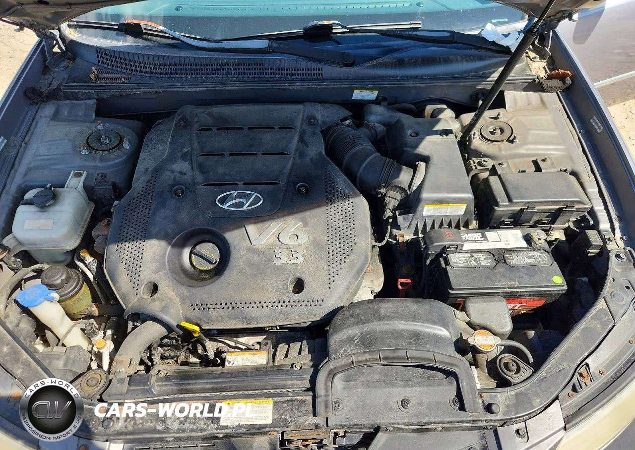 2008 Hyundai Sonata Se V6 VIN:5NPEU46F58H312973 - 11