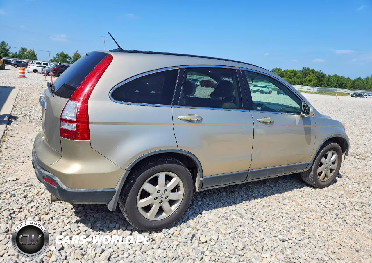 2007 Honda Cr-V Exl VIN:JHLRE48767C117594 - 3