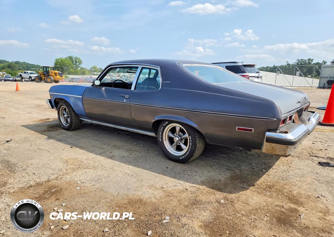 1974 Chevrolet Nova VIN:1Y17H4W119003 - 2