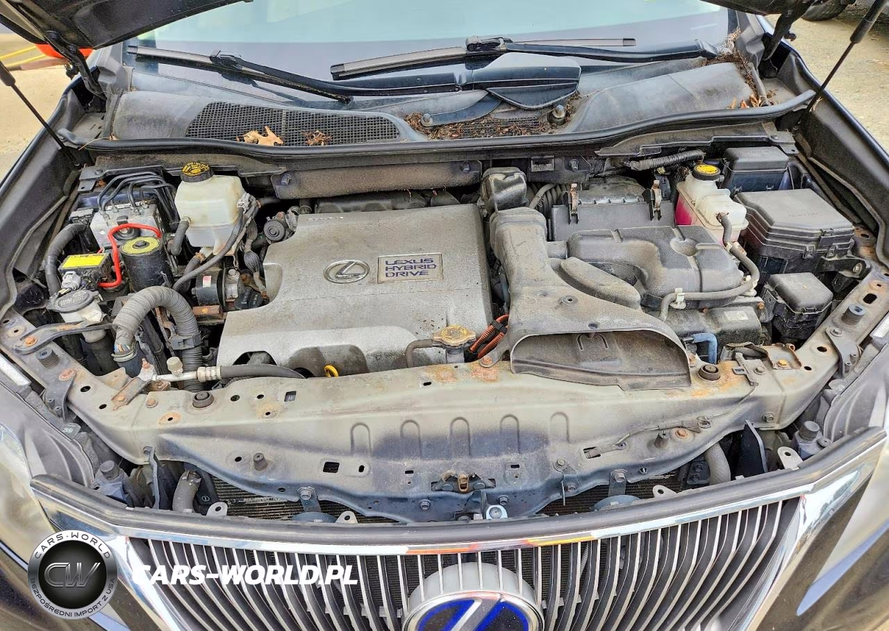 2010 Lexus Rx 450H VIN:JTJBC1BA3A2409656 - 12