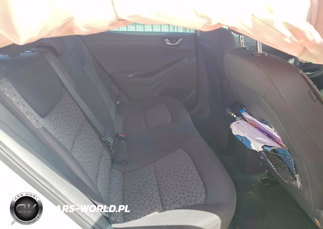 2018 Hyundai Ioniq Blue VIN:KMHC65LC7JU065271 - 10