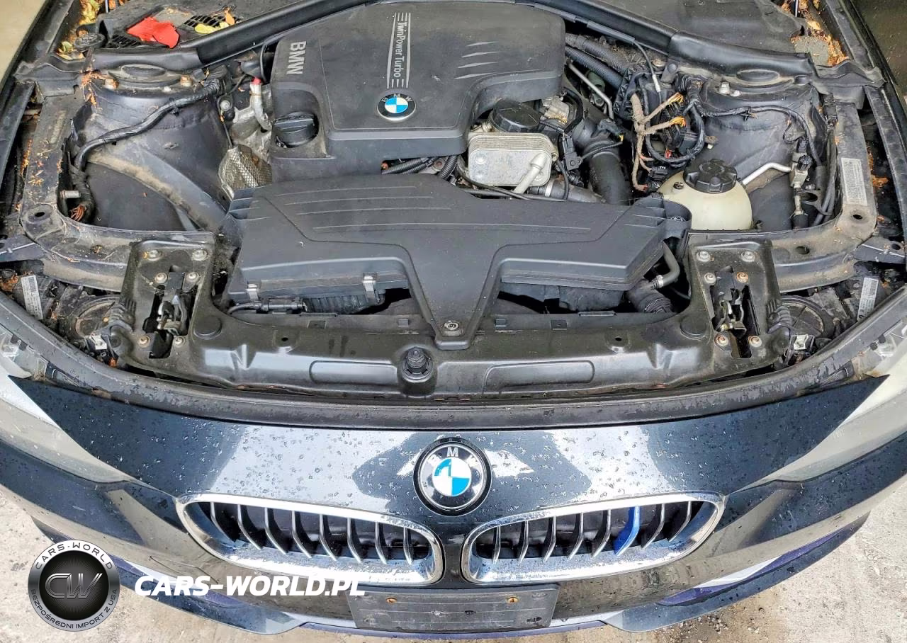 2013 BMW 328 Xi Sulev VIN:WBA3B5G56DNS01316 - 11
