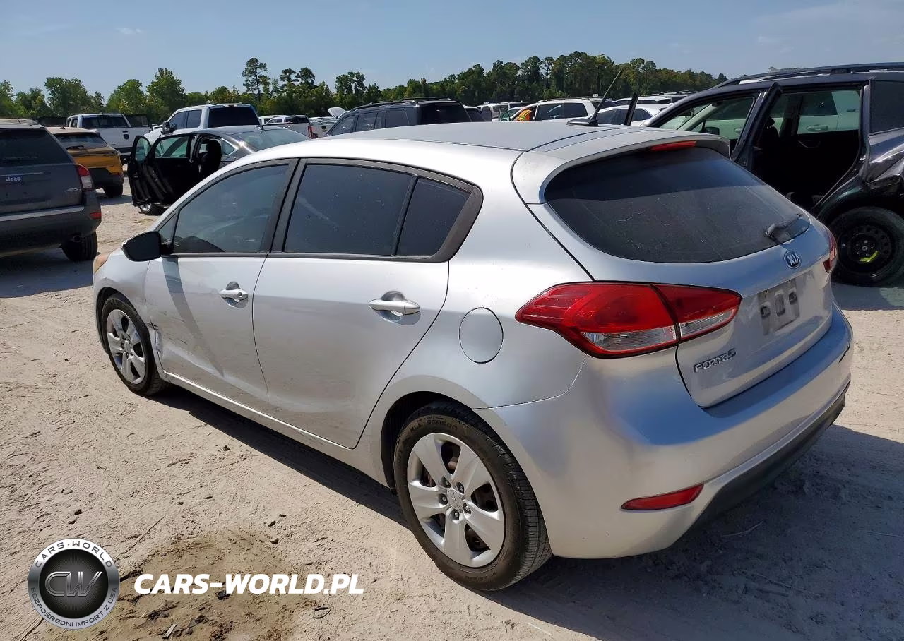 2016 Kia Forte5 Lx VIN:KNAFK5A83G5635407 - 2