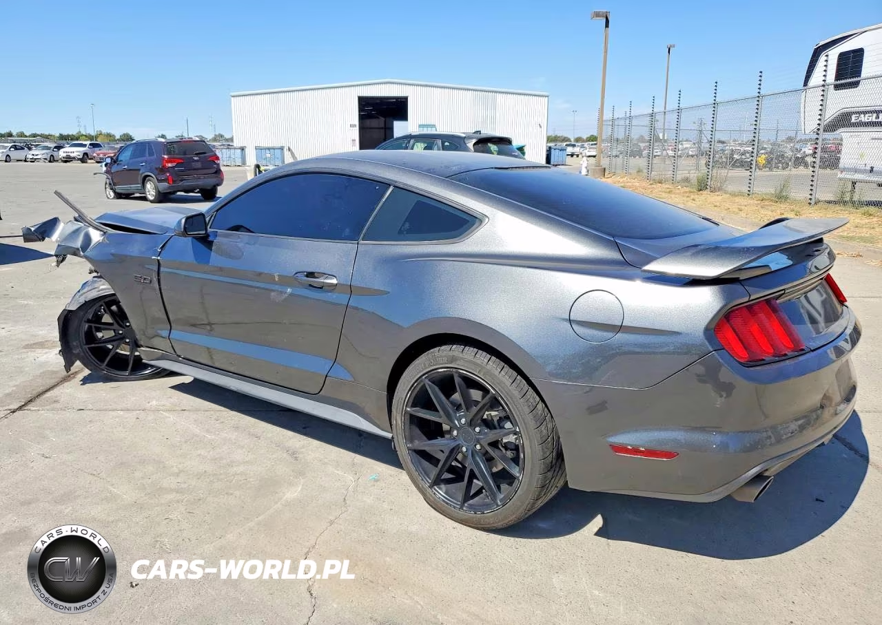2016 Ford Mustang Gt VIN:1FA6P8CF6G5284449 - 2