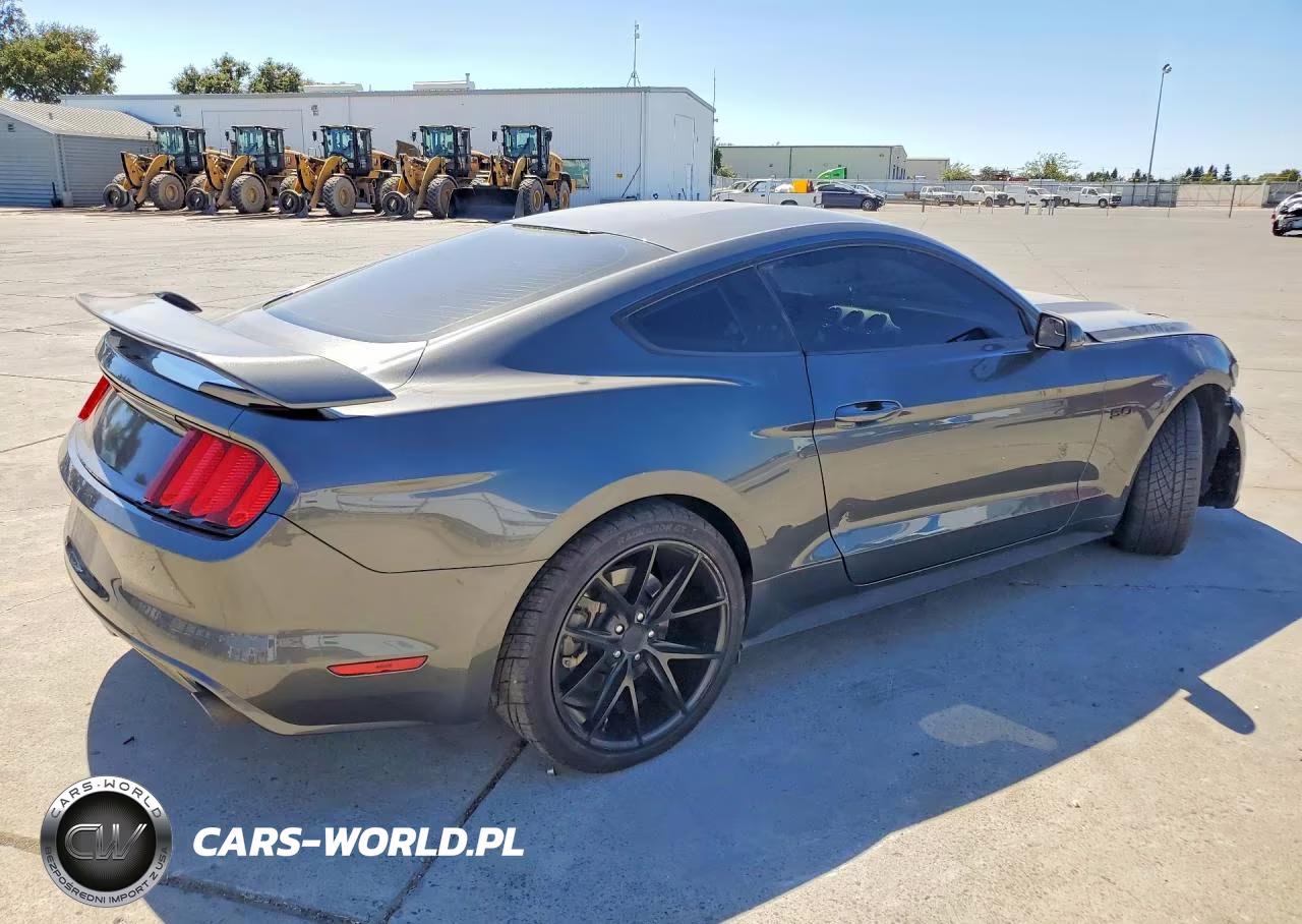 2016 Ford Mustang Gt VIN:1FA6P8CF6G5284449 - 3