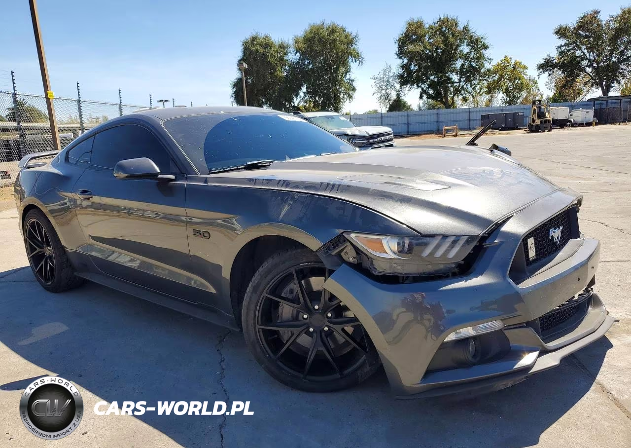 2016 Ford Mustang Gt VIN:1FA6P8CF6G5284449 - 4