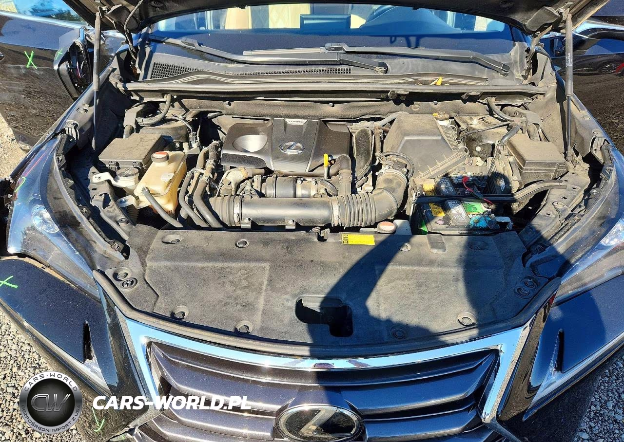 2015 Lexus Nx 200T VIN:JTJBARBZ9F2021946 - 12