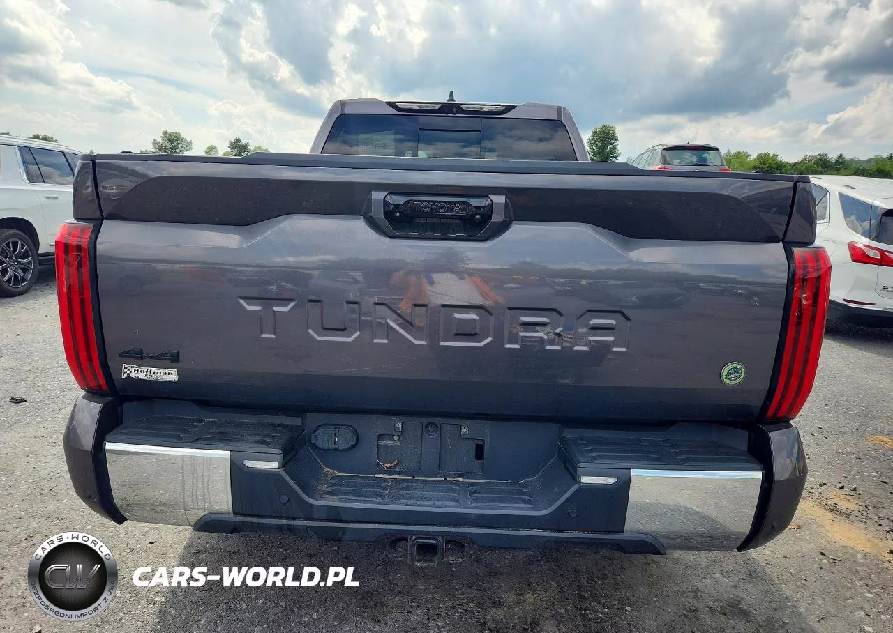 2022 Toyota Tundra Sr5 VIN:5TFLA5DA5NX007003 - 6