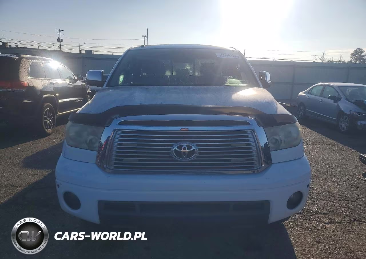 2010 Toyota Tundra Double Cab Limited VIN:5TFBY5F16AX124121 - 5