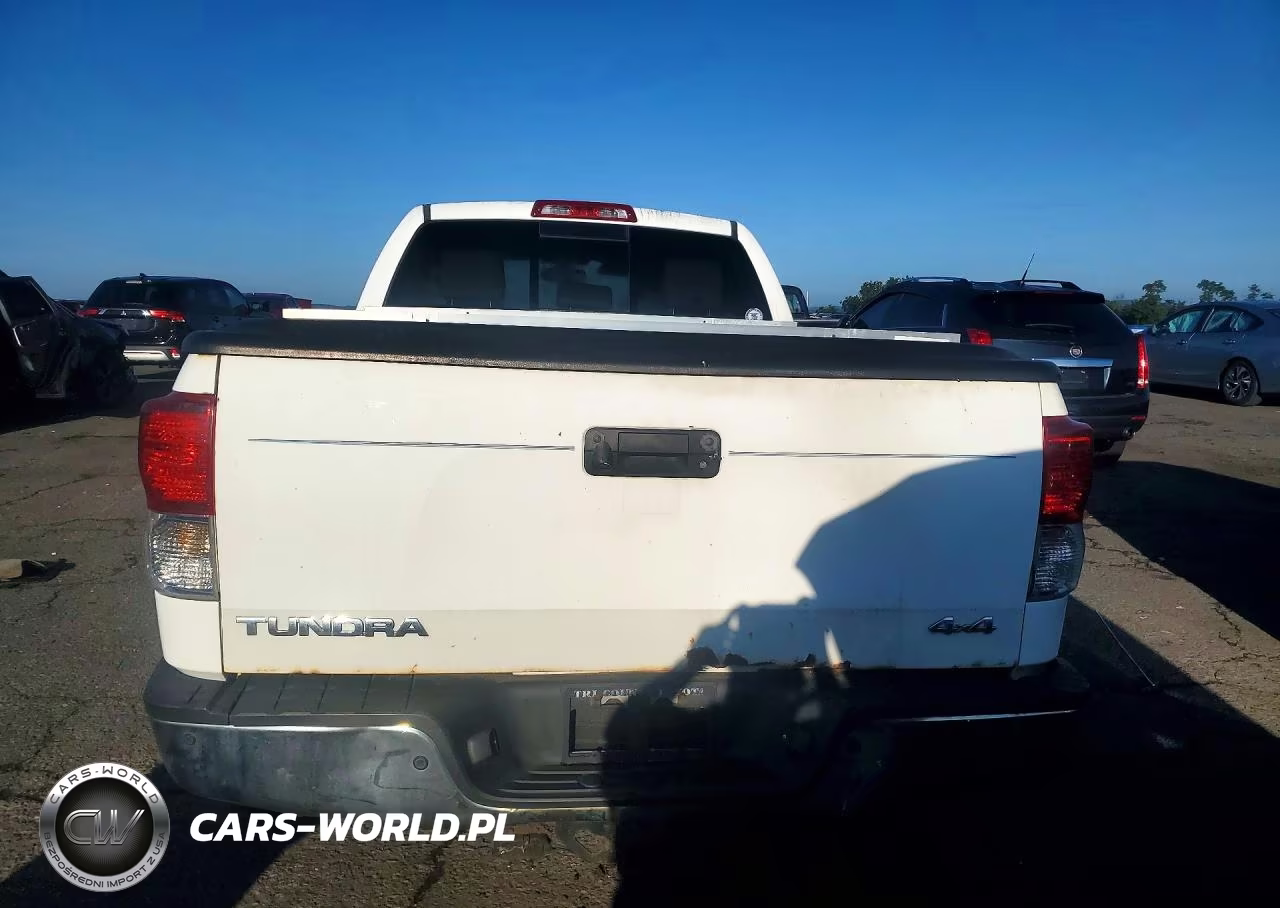 2010 Toyota Tundra Double Cab Limited VIN:5TFBY5F16AX124121 - 6