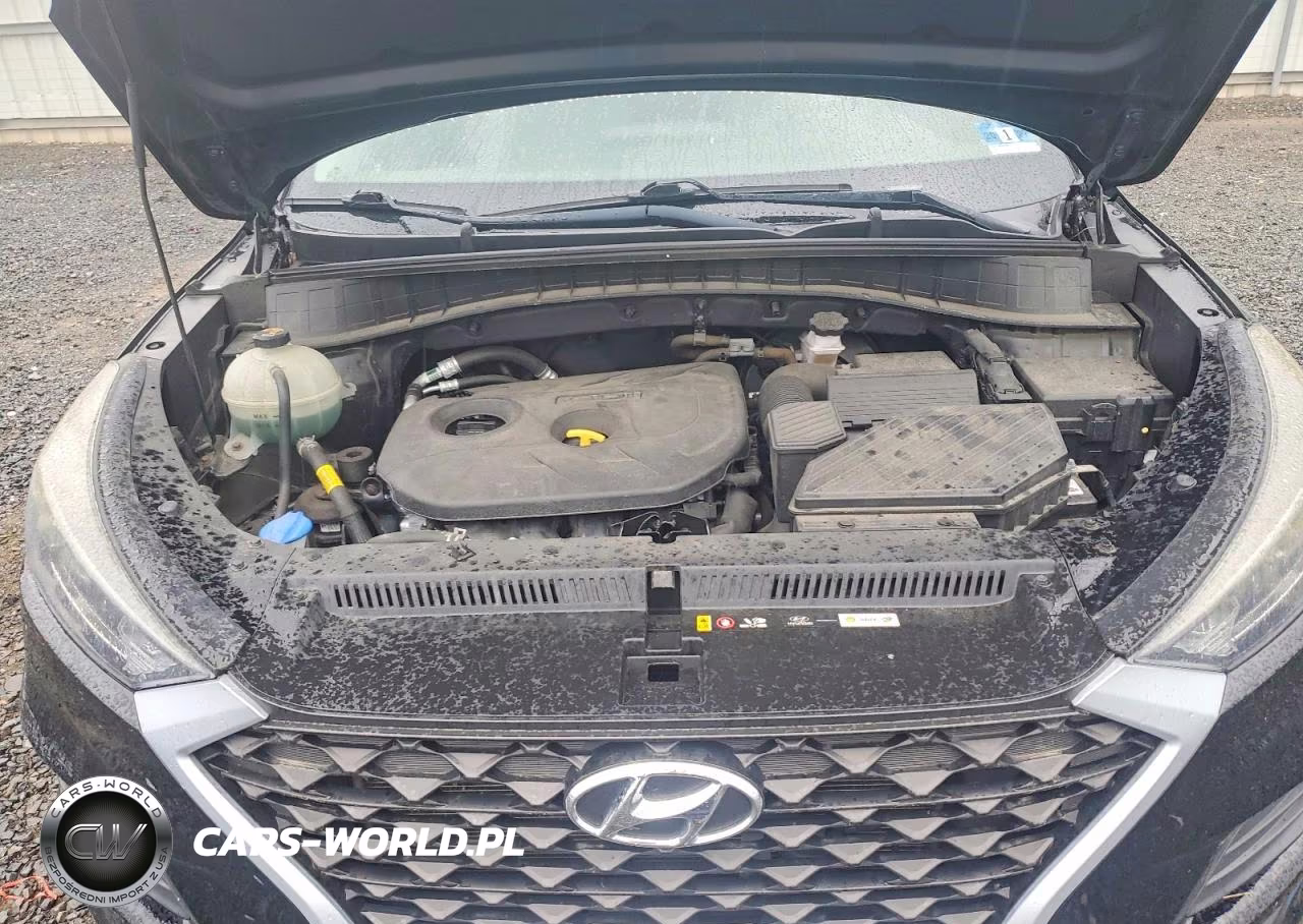 2019 Hyundai Tucson Value VIN:KM8J3CA41KU938529 - 12