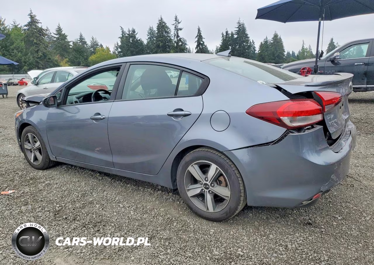 2018 Kia Forte S VIN:3KPFL4A73JE250930 - 2