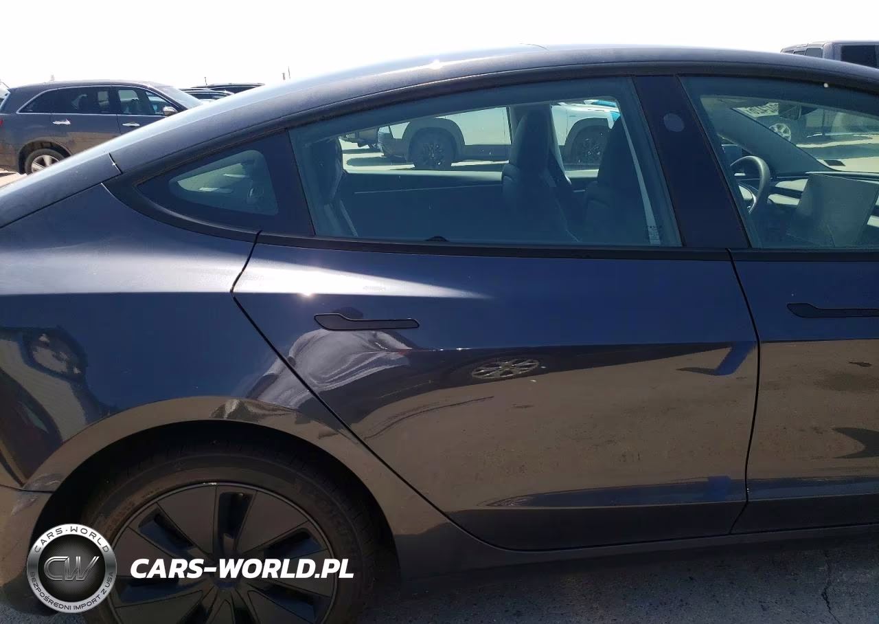 2025 Tesla Model 3 VIN:5YJ3E1EA5SF933113 - 10