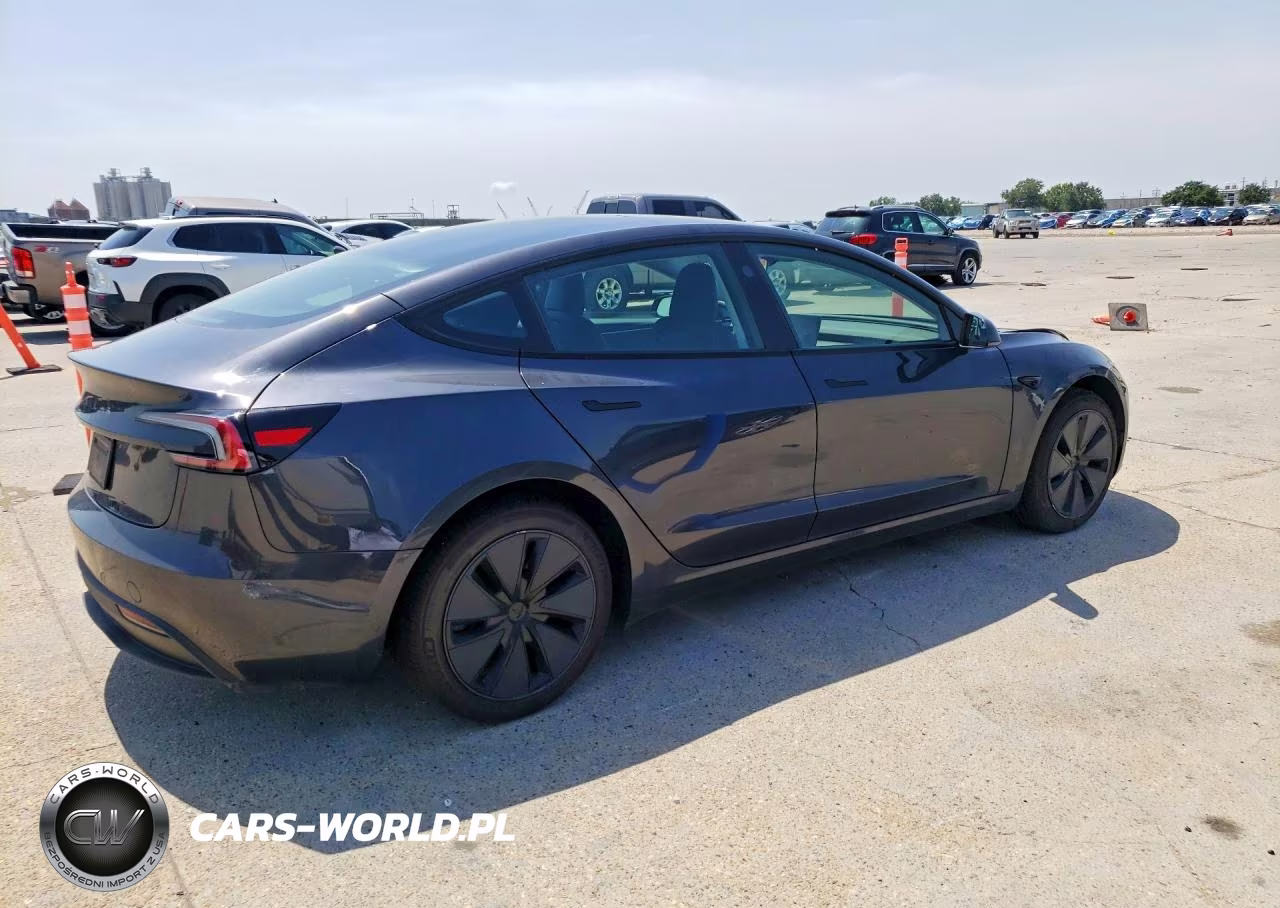 2025 Tesla Model 3 VIN:5YJ3E1EA5SF933113 - 3