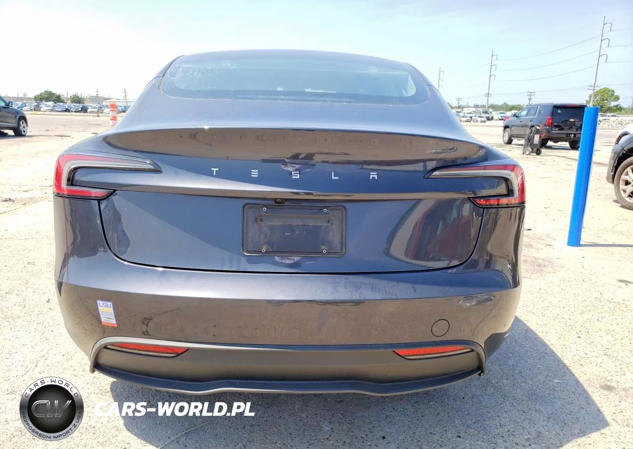 2025 Tesla Model 3 VIN:5YJ3E1EA5SF933113 - 6