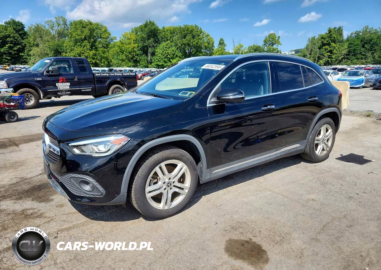 2021 Mercedes-Benz Gla 250 4Matic VIN:W1N4N4HB6MJ174731 - 1