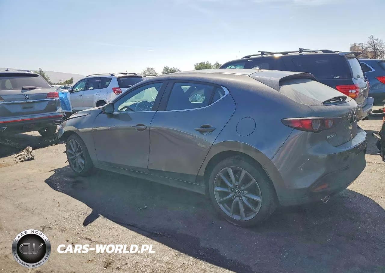 2019 Mazda 3 Preferred VIN:JM1BPAMM2K1120225 - 2