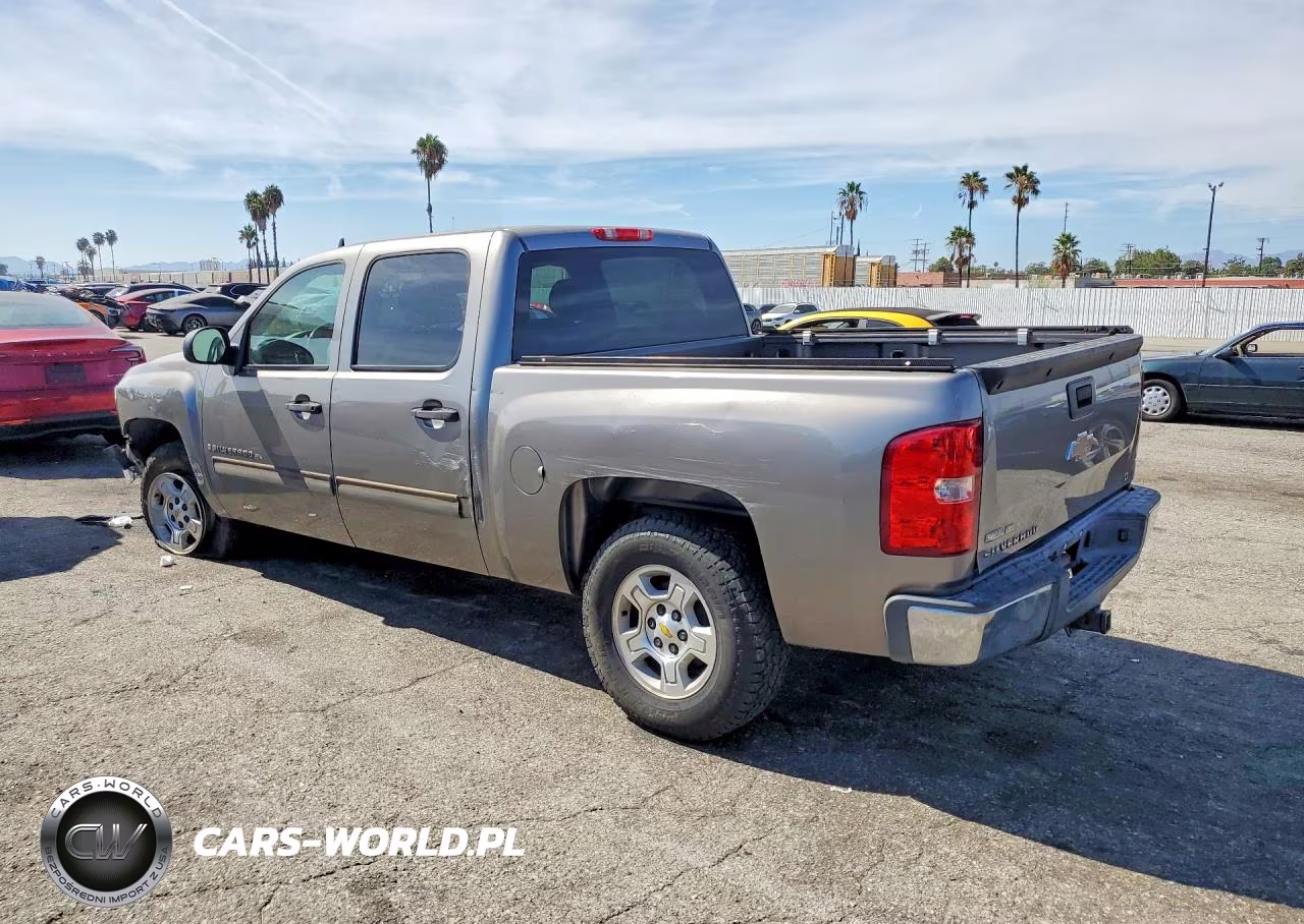 2009 Chevrolet Silverado C1500 VIN:3GCEC13329G147308 - 2