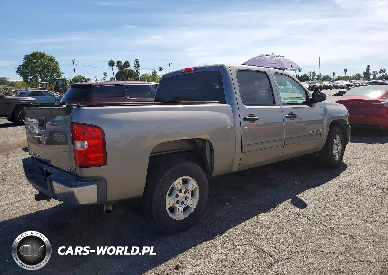 2009 Chevrolet Silverado C1500 VIN:3GCEC13329G147308 - 3