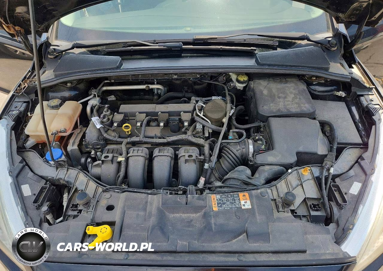 2016 Ford Focus Se VIN:1FADP3F2XGL300926 - 11