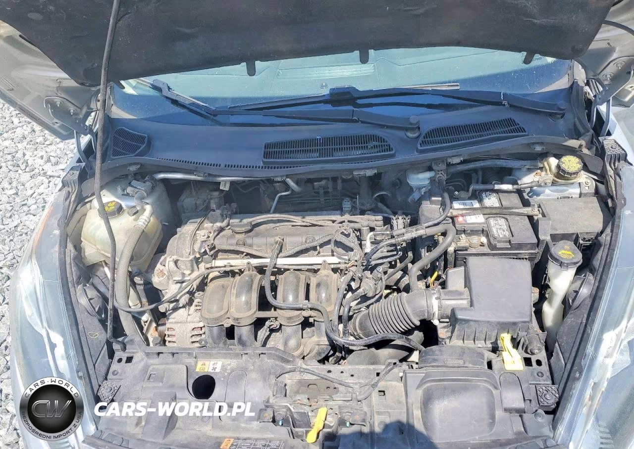 2014 Ford Fiesta Se VIN:3FADP4BJ9EM226591 - 11