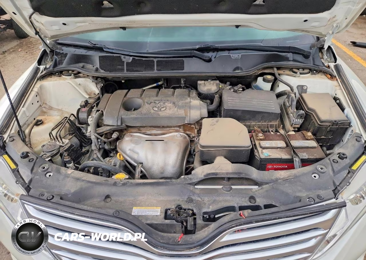 2010 Toyota Venza Fwd 4Cyl VIN:4T3ZA3BBXAU024596 - 11