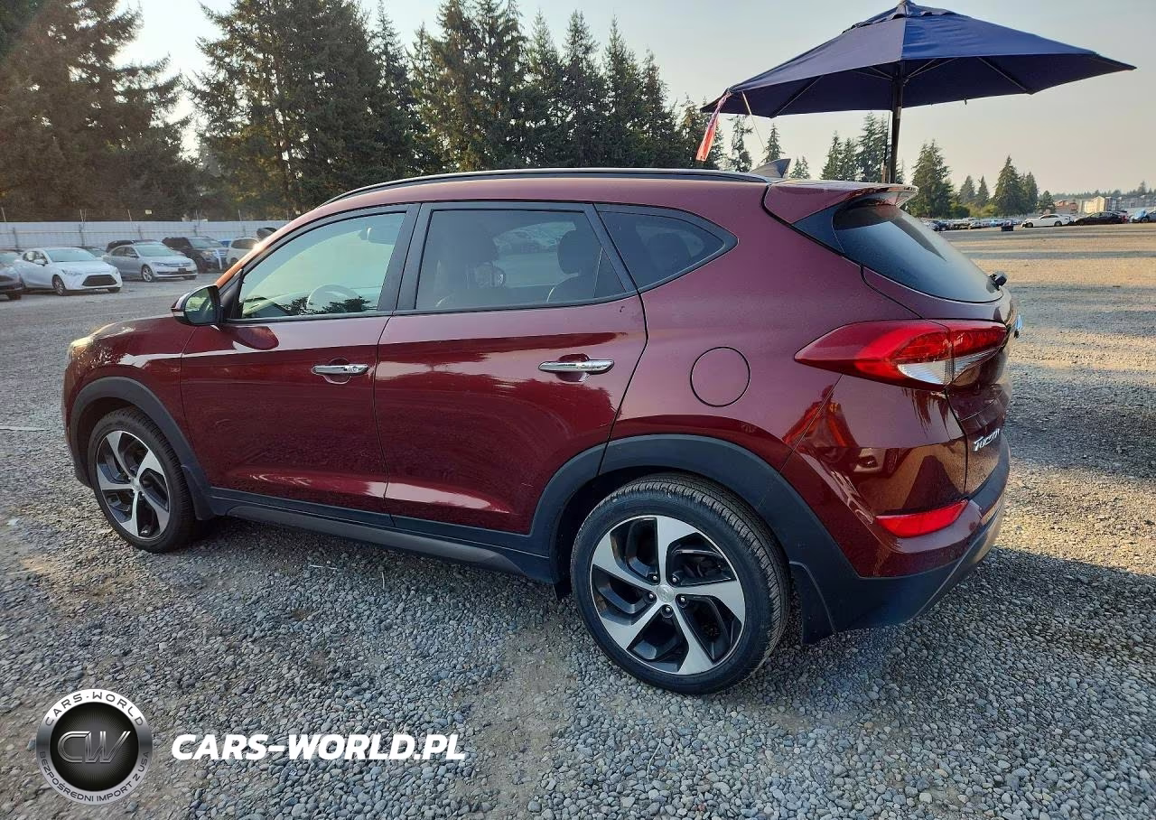 2016 Hyundai Tucson Limited VIN:KM8J3CA20GU103964 - 2