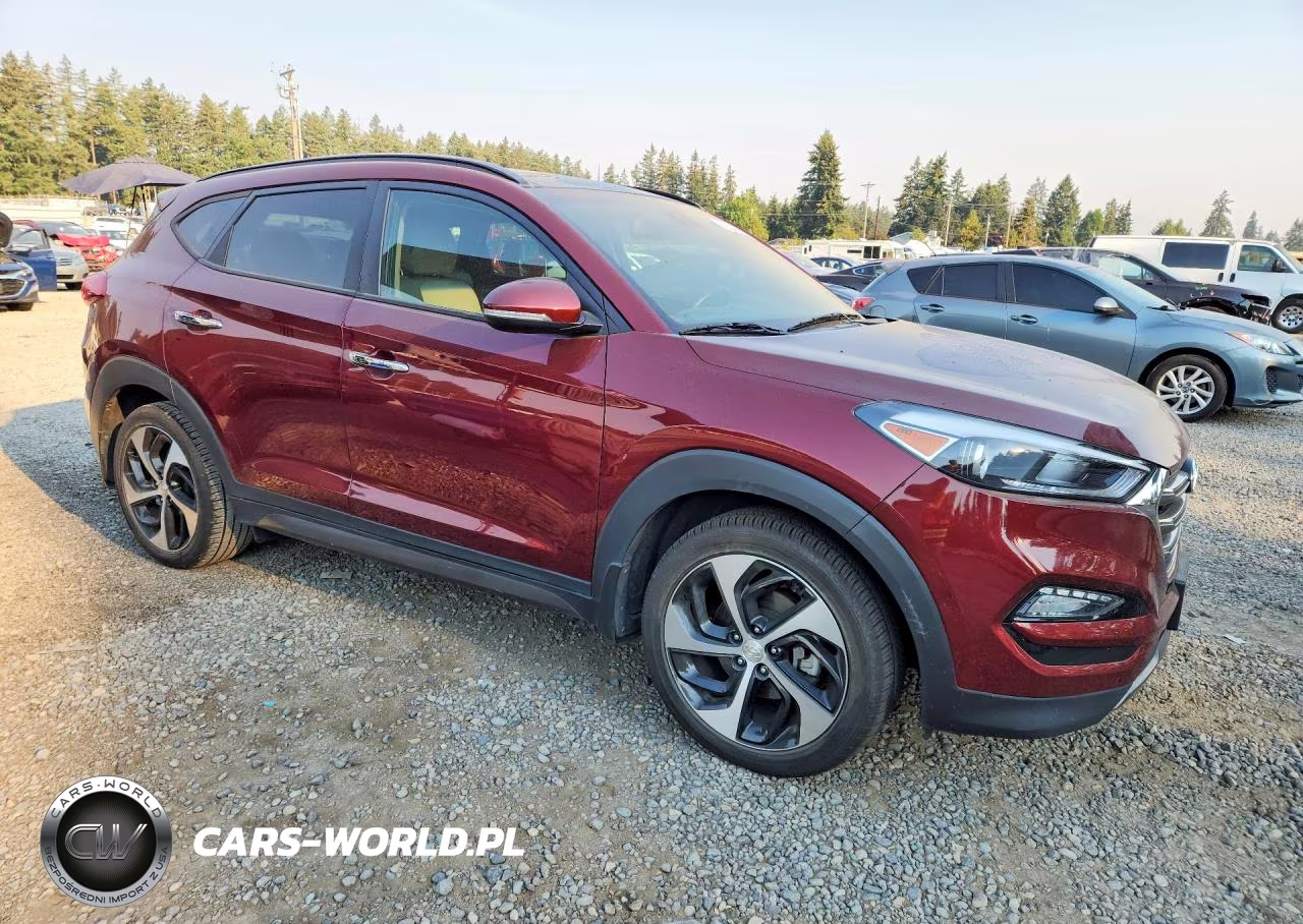 2016 Hyundai Tucson Limited VIN:KM8J3CA20GU103964 - 4