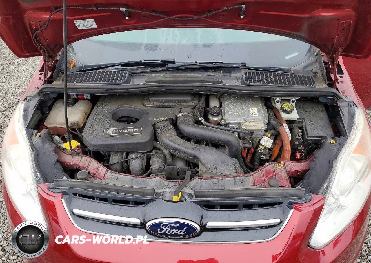 2015 Ford C-Max Sel VIN:1FADP5BU8FL102217 - 12